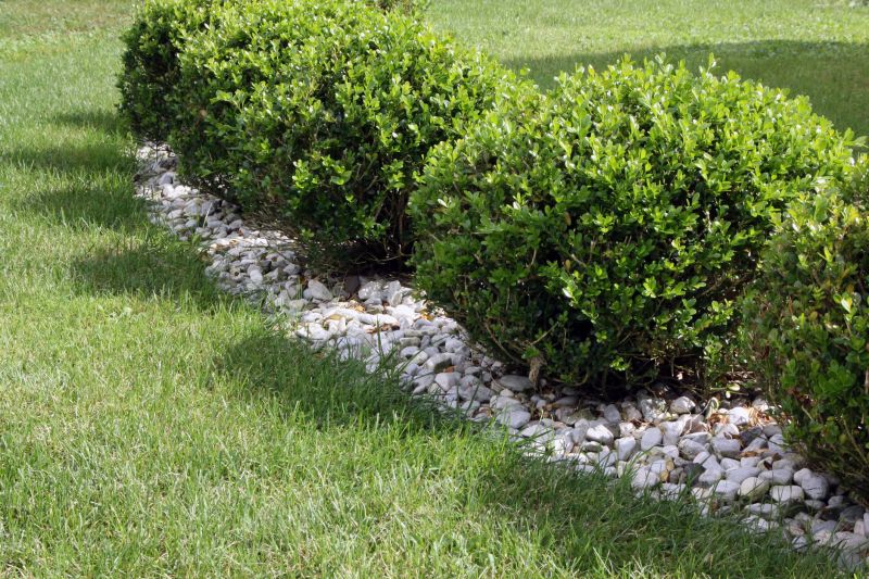 Trimmed Boxwoods