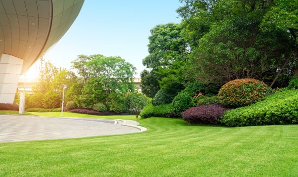 Commercial Shrub Trimming in Edison
