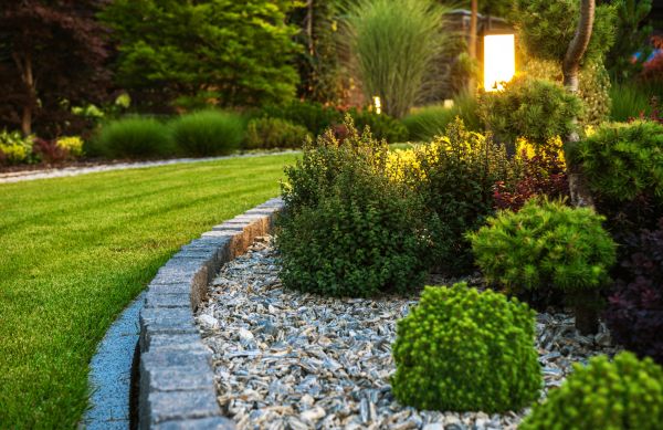 Cost of Bush Relocation in Edison