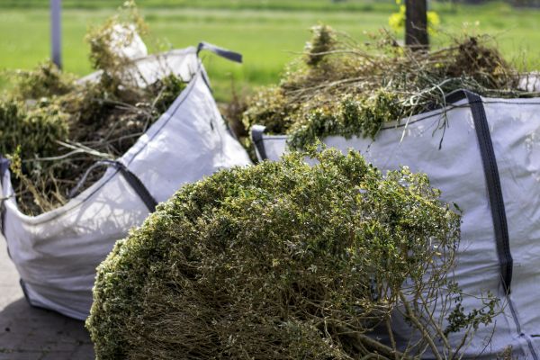 Shrubs Removal in Edison