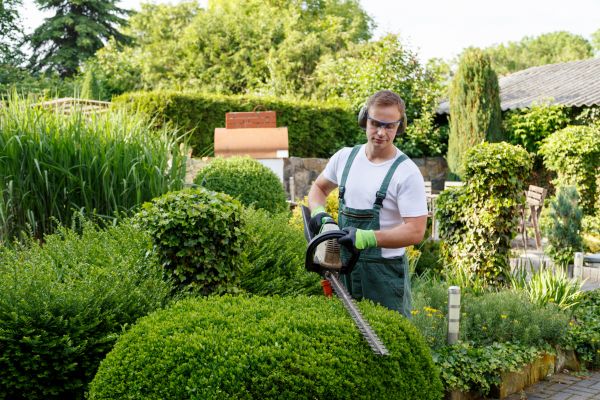 Shrubs Trimming in Edison