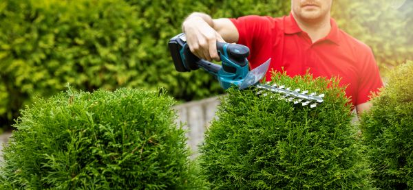Cost of Hedge Shaping Service in Edison